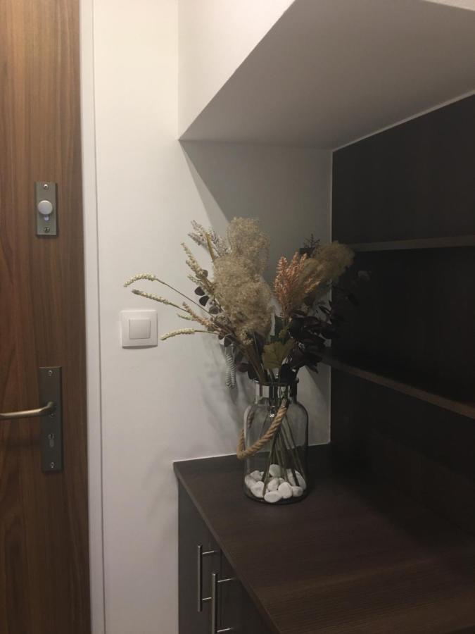 Home Apartment Sopron Exterior foto